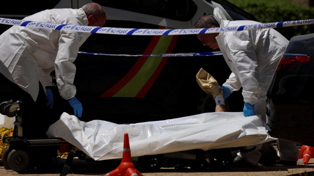 The alleged murderer of former Ukrainian politician Andréi Portnov, shot in Pozuelo in 2025, arrested in Germany