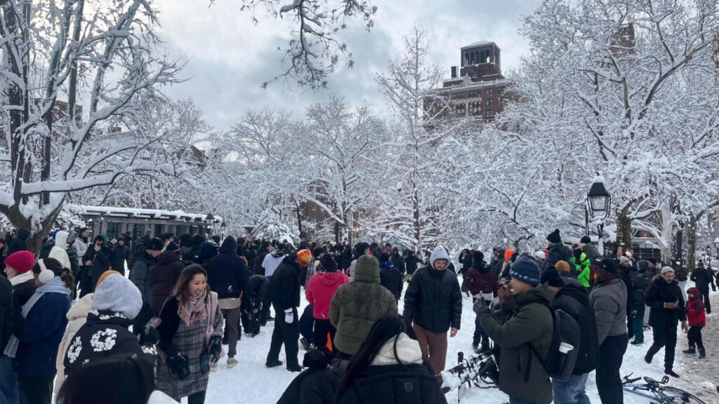 A snowball fight in New York ends in a new conflict between the Police Department and Mayor Mamdani