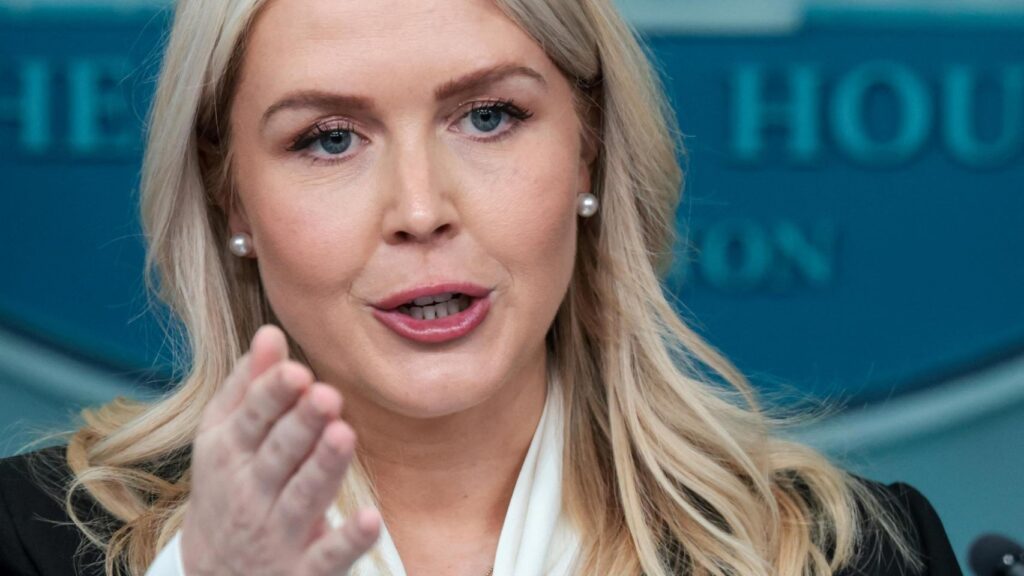 “Spain has agreed to cooperate with the US Army”