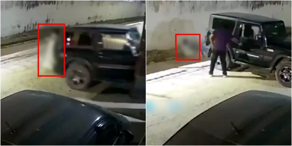 Video: Elderly woman dies after being crushed by her grandson’s vehicle in India