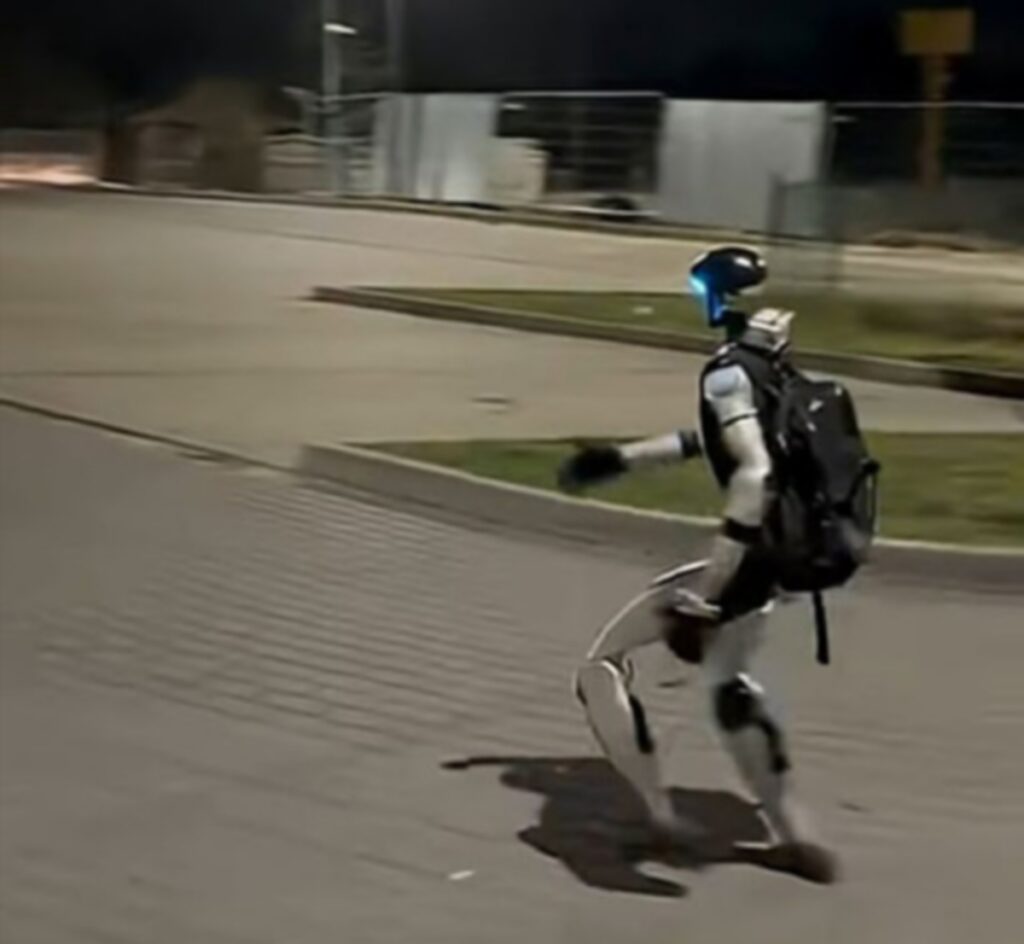 Robot is a sensation on networks