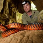 New species in Cambodia: discovery in karst caves redefines Asian biodiversity